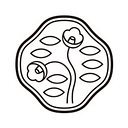 shiseido.co.uk