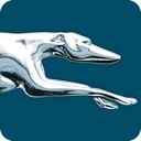 greyhound.com